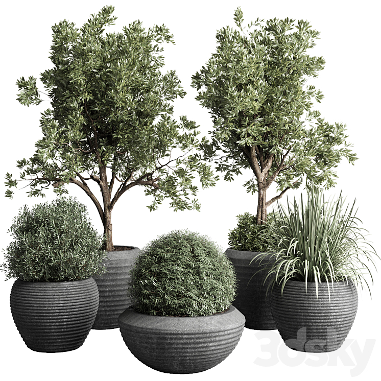 Collection indoor outdoor plant 120 plant tree grass vase dirty concrete 3DS Max Model - thumbnail 1