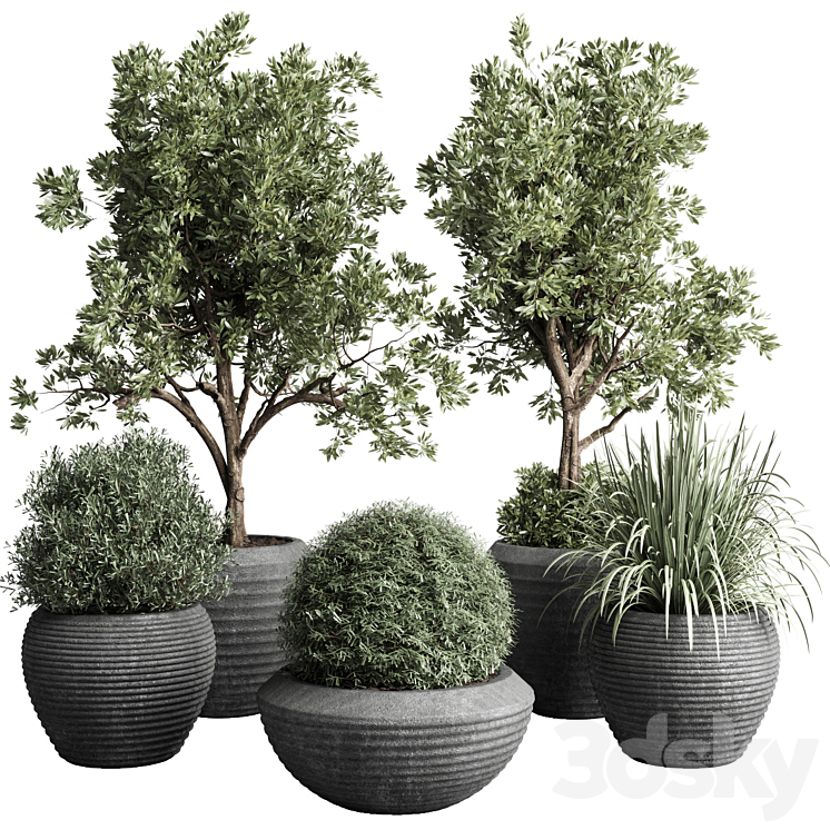 Collection indoor outdoor plant 120 plant tree grass vase dirty concrete 3DS Max - thumbnail 1