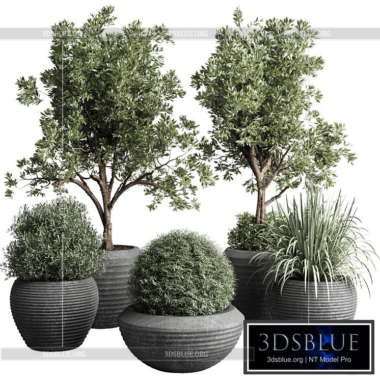 Collection indoor outdoor plant 120 plant tree grass vase dirty concrete 3DS Max - thumbnail 3