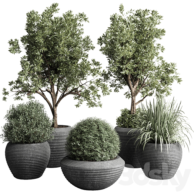 Collection indoor outdoor plant 120 plant tree grass vase dirty concrete 3DSMax File - thumbnail 1