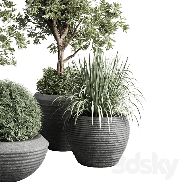 Collection indoor outdoor plant 120 plant tree grass vase dirty concrete 3DSMax File - thumbnail 4