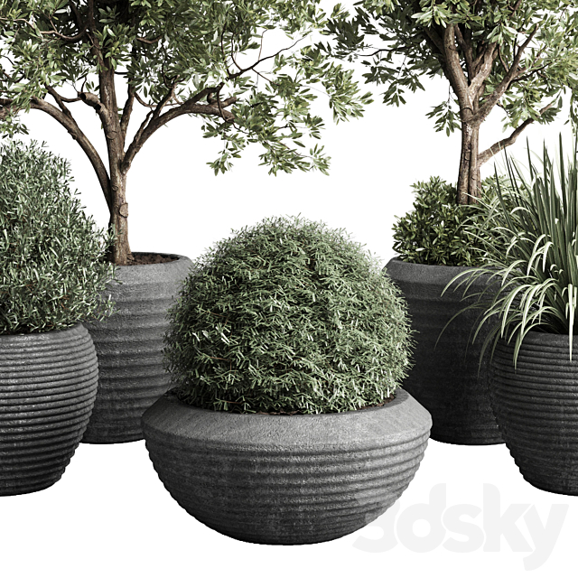 Collection indoor outdoor plant 120 plant tree grass vase dirty concrete 3DSMax File - thumbnail 5