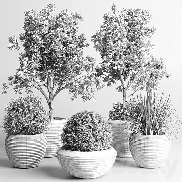 Collection indoor outdoor plant 120 plant tree grass vase dirty concrete 3DSMax File - thumbnail 6