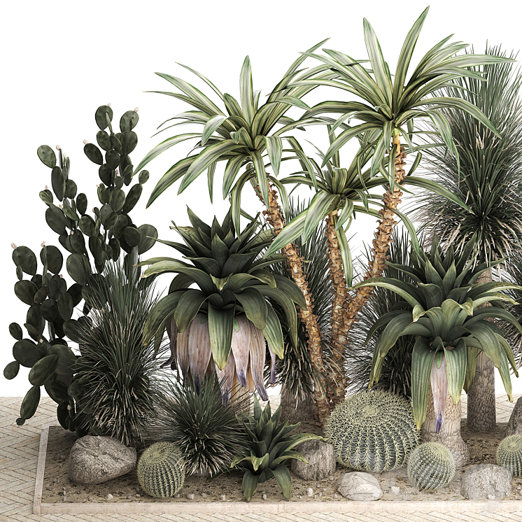 Collection of desert plants from cacti Yucca and prickly pear carnegie Dracaena thickets botanical garden. 1108. 3DS Max Model - thumbnail 2