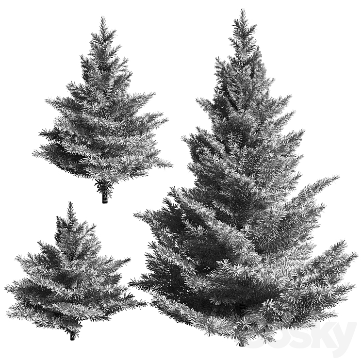 Collection of firs. 3 models 3DS Max Model - thumbnail 2