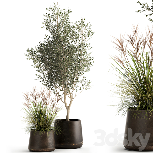 Collection of outdoor metal potted plants with olive tree bushes vine. Set 974. 3ds Max - thumbnail 1