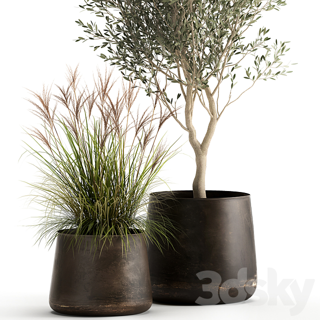 Collection of outdoor metal potted plants with olive tree bushes vine. Set 974. 3ds Max - thumbnail 2