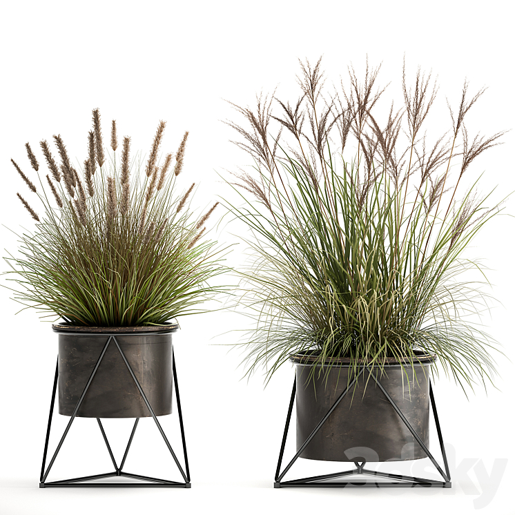 Collection of outdoor metal potted plants with Reeds grass bushes weinik. Set 980. 3DS Max - thumbnail 1