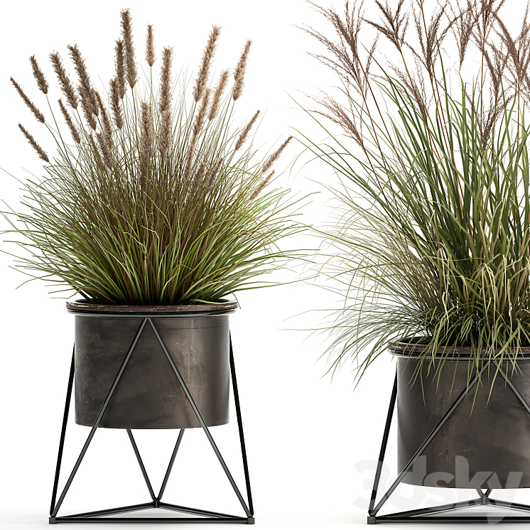 Collection of outdoor metal potted plants with Reeds grass bushes weinik. Set 980. 3DS Max - thumbnail 2