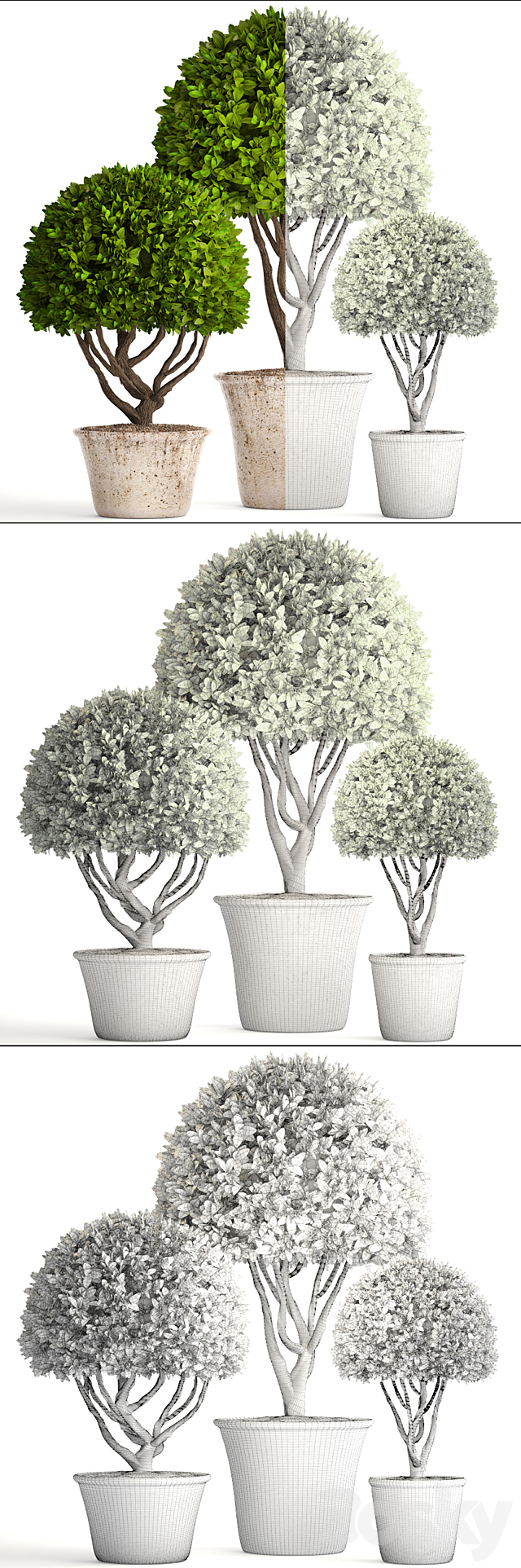 Collection of plants 126. Boxwood topiary. topiary. garden trees. garden plants. pot. outdoor flowerpot. bush. small tree 3DSMax File - thumbnail 3