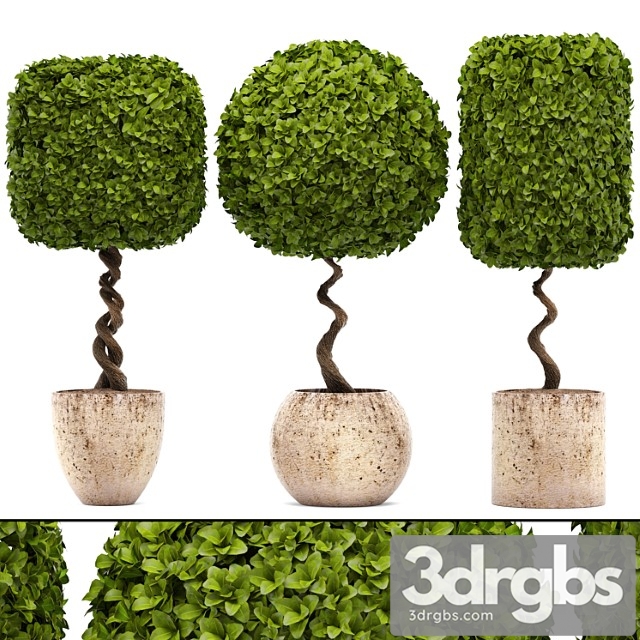 Collection of Plants 130 Garden Trees Landscape Design Flowerpot Pot Boxwood Topiary Topiary 3dsmax Download - thumbnail 1