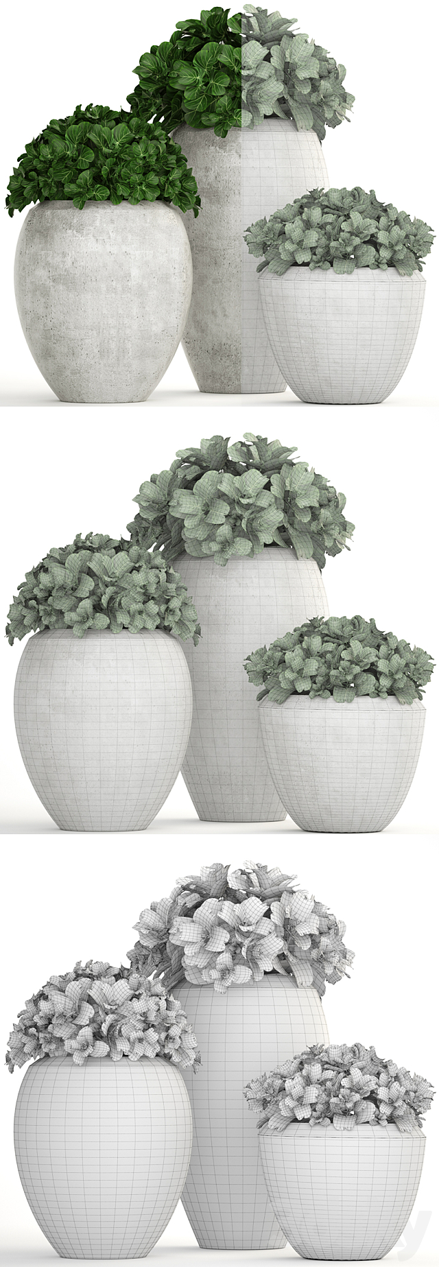 Collection of plants 146. Bush bushes garden plants concrete pot flowerpot outdoor decorative 3DS Max Model - thumbnail 3