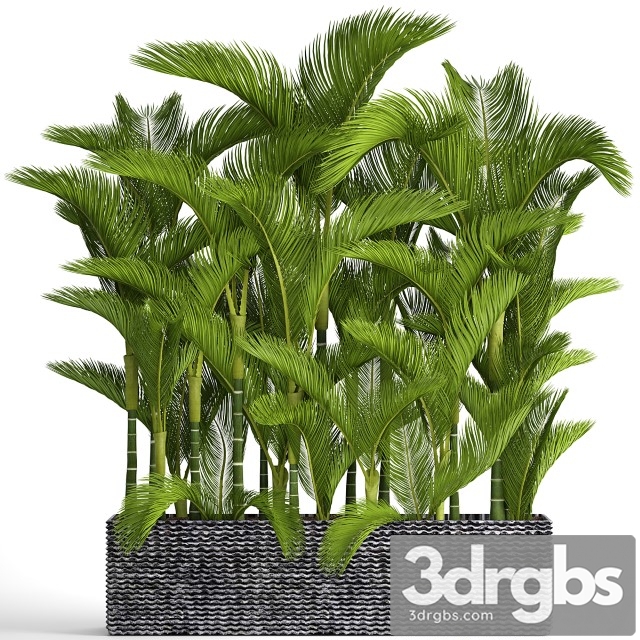 Collection Of Plants 88 3dsmax Download - thumbnail 1