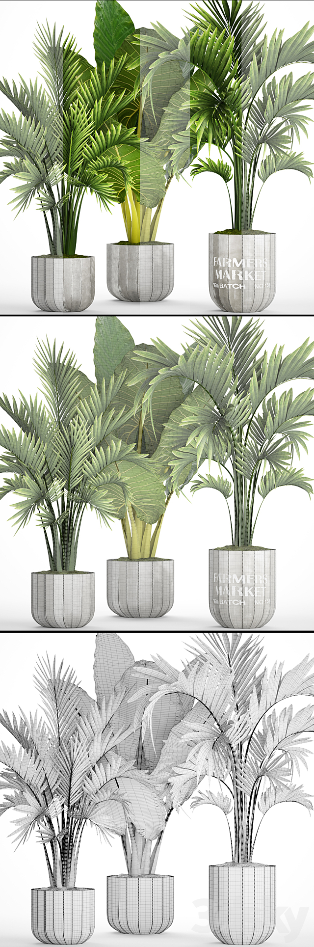 Collection of plants 92. Palm tree alocasia bushes howea concrete pot flowerpot tropical plants 3ds Max - thumbnail 3