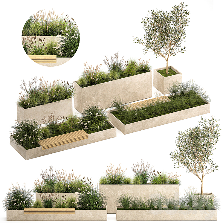 Collection of plants for the urban environment with a flower bed a bench and concrete outdoor flowerpots bushes and grass Miscanthus olive tree garden. 1141. 3DS Max - thumbnail 1