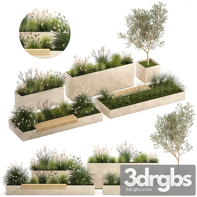 Collection of plants for the urban environment with a flower bed, a bench and concrete outdoor flowerpots, bushes and grass, miscanthus, olive tree, garden. 1141. - thumbnail 1