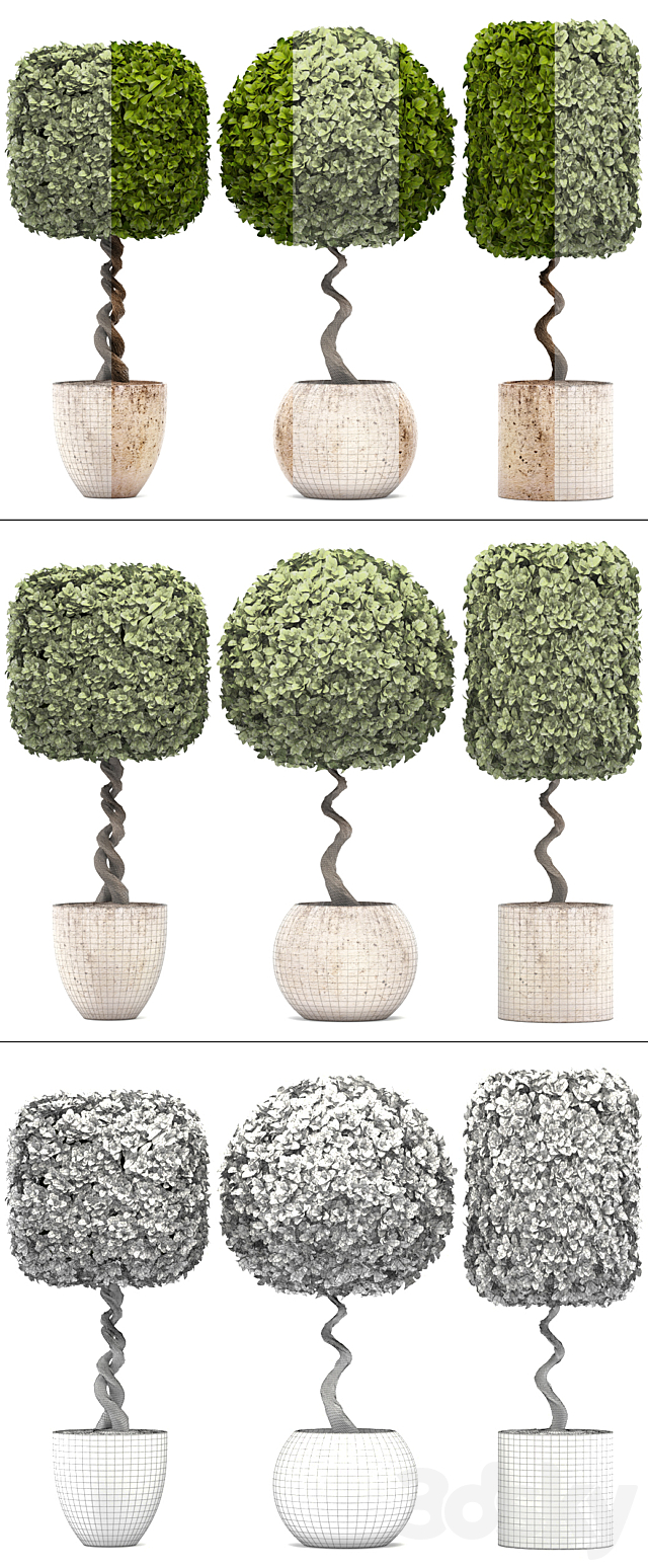 Collection of plants.  garden trees landscaping flowerpot pot boxwood topiary topiary 3ds Max - thumbnail 3