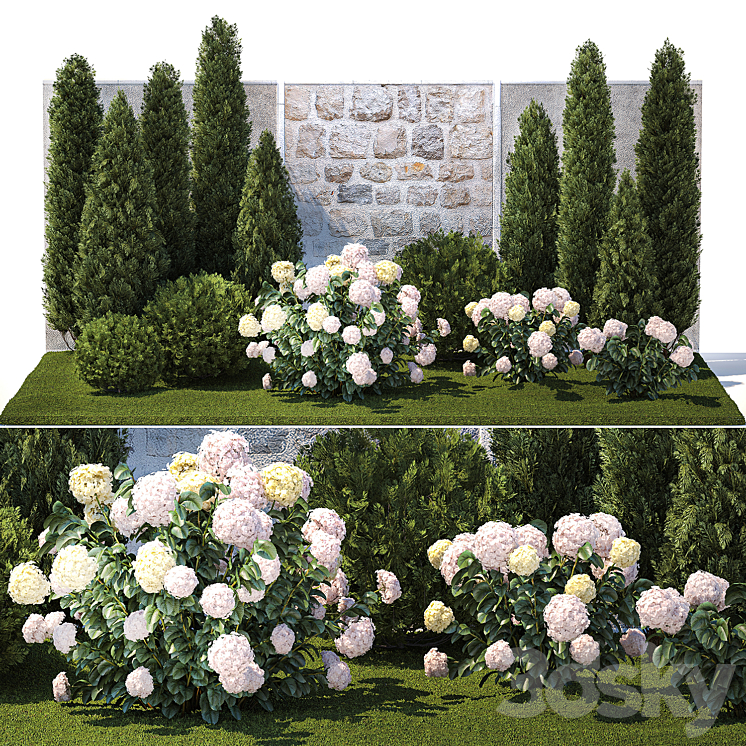Collection of plants garden with bushes and trees for landscape design with thuja cypress flowering Hydrangea white. Set 1378. 3DS Max Model - thumbnail 1