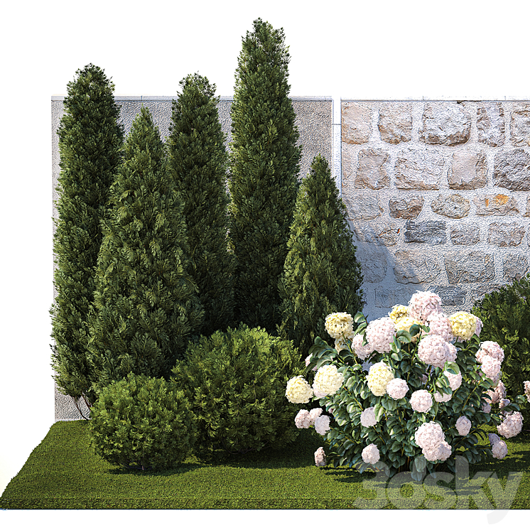 Collection of plants garden with bushes and trees for landscape design with thuja cypress flowering Hydrangea white. Set 1378. 3DS Max Model - thumbnail 2