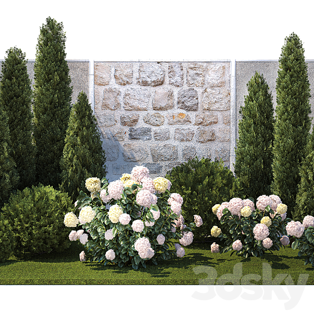 Collection of plants garden with bushes and trees for landscape design with thuja cypress flowering Hydrangea white. Set 1378. 3DS Max Model - thumbnail 3