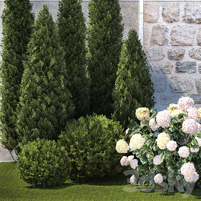 Collection of plants garden with bushes and trees for landscape design with thuja cypress flowering Hydrangea white. Set 1378. 3DS Max Model - thumbnail 4