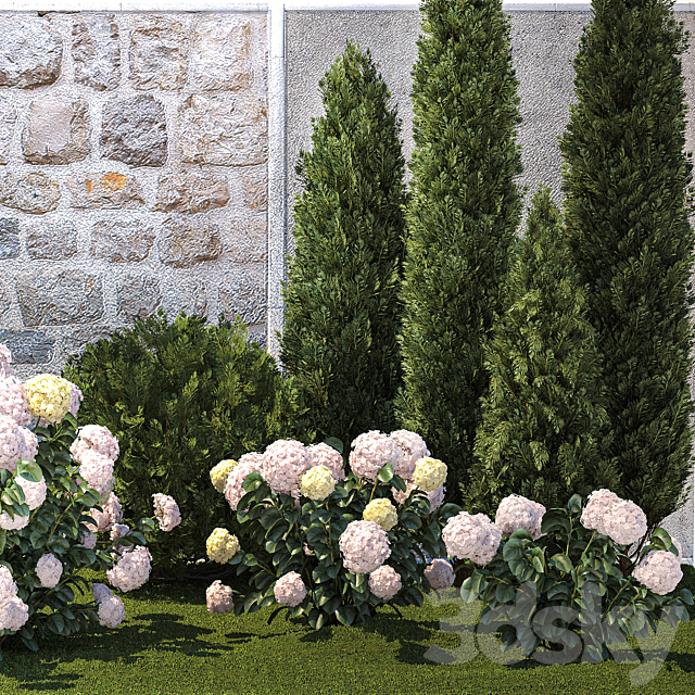 Collection of plants garden with bushes and trees for landscape design with thuja cypress flowering Hydrangea white. Set 1378. 3DS Max Model - thumbnail 5