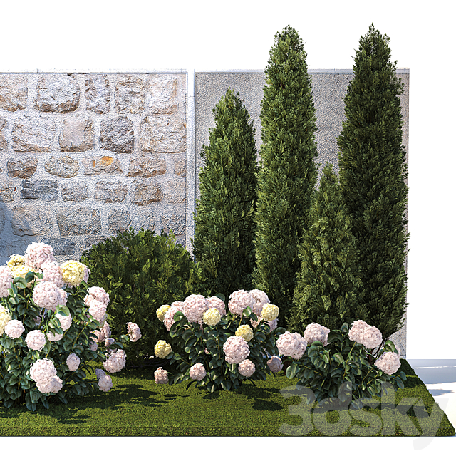 Collection of plants garden with bushes and trees for landscape design with thuja cypress flowering Hydrangea white. Set 1378. 3DS Max Model - thumbnail 6