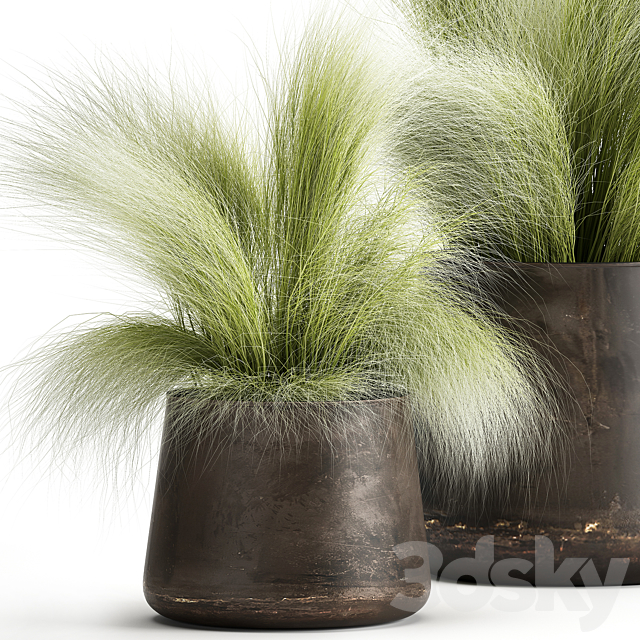 Collection of plants of fluffy bushes in outdoor pots Grass grass hummock. Set 908. 3DS Max Model - thumbnail 2