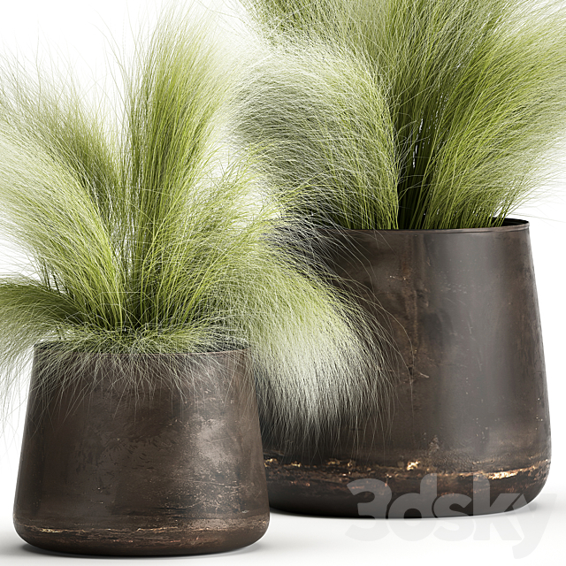 Collection of plants of fluffy bushes in outdoor pots Grass grass hummock. Set 908. 3DS Max Model - thumbnail 3