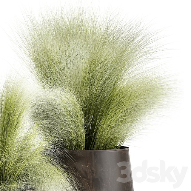 Collection of plants of fluffy bushes in outdoor pots Grass grass hummock. Set 908. 3DS Max Model - thumbnail 4