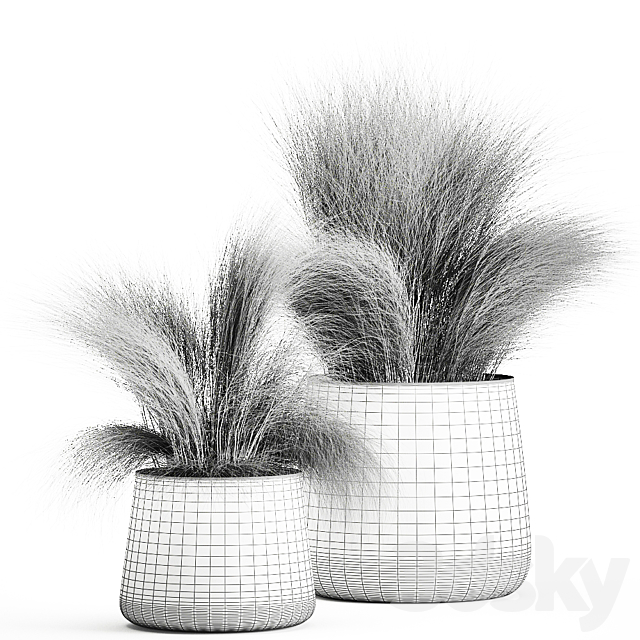 Collection of plants of fluffy bushes in outdoor pots Grass grass hummock. Set 908. 3DS Max Model - thumbnail 5