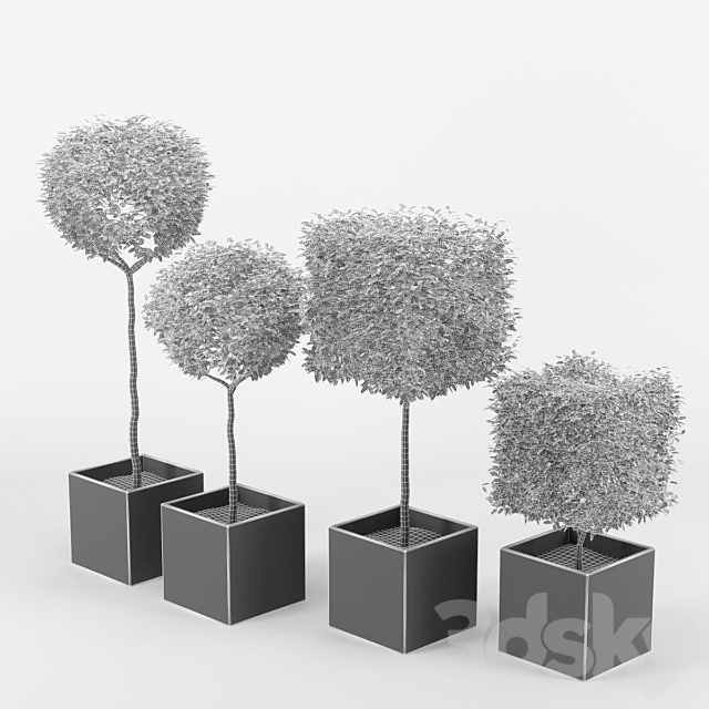 collection of plants_2 3DSMax File - thumbnail 3