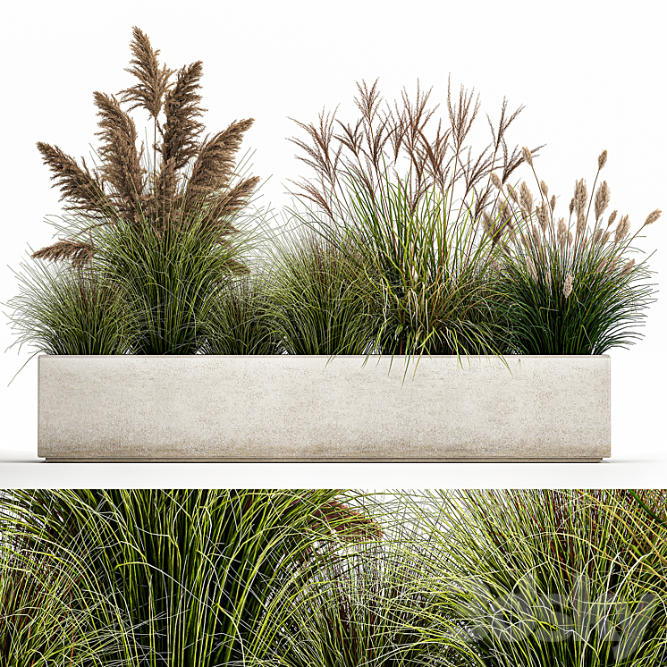 Collection of potted plants with Pampas grass reeds flower bed bushes landscaping. Set 1078 3DS Max Model - thumbnail 1