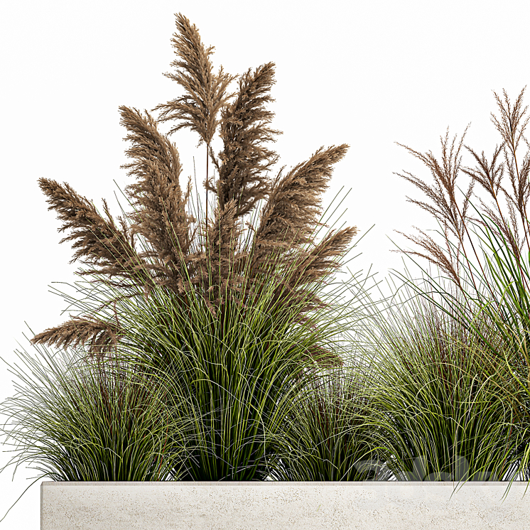 Collection of potted plants with Pampas grass reeds flower bed bushes landscaping. Set 1078 3DS Max Model - thumbnail 2