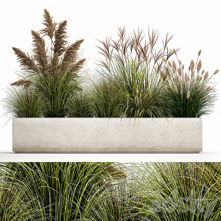 Collection of potted plants with Pampas grass reeds flower bed bushes landscaping. Set 1078 3DS Max - thumbnail 1