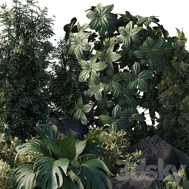 Collection outdoor indoor 101 pot plant 3DS Max Model - thumbnail 5