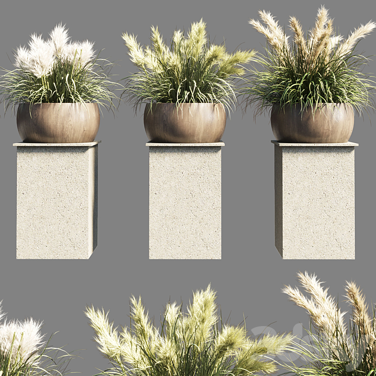 Collection outdoor indoor 70 pot palnt grass the dry pampas stand vase wooden 3DS Max Model - thumbnail 3