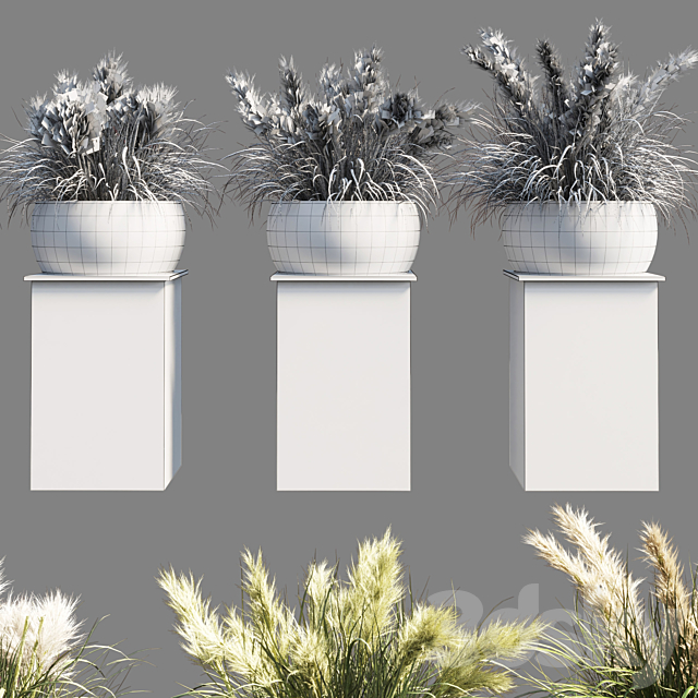 Collection outdoor indoor 70 pot palnt grass the dry pampas stand vase wooden 3DS Max Model - thumbnail 5