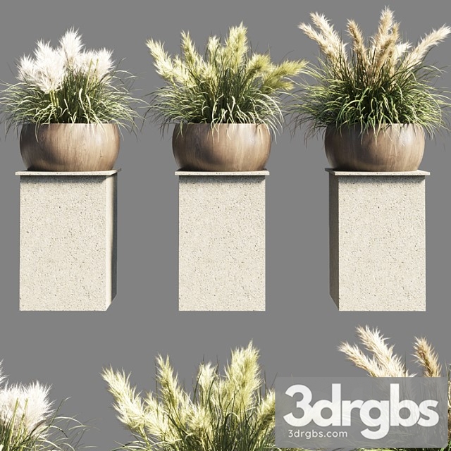 Collection Outdoor Indoor 70 Pot Palnt Grass The Dry Pampas Stand Vase Wooden 3dsmax Download - thumbnail 1