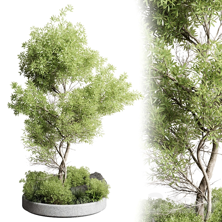 Collection outdoor indoor 85 pot plant & tree & bush 3DS Max Model - thumbnail 3