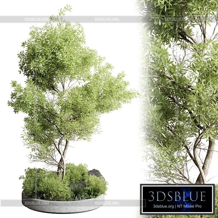 Collection outdoor indoor 85 pot plant & tree & bush 3DS Max - thumbnail 3