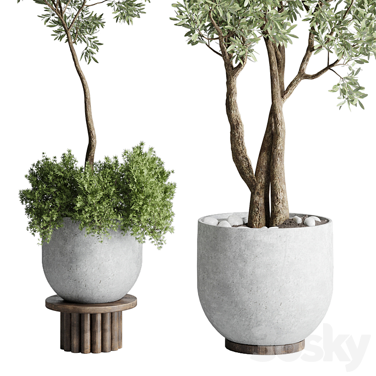 Collection Outdoor Indoor plant 52 concrete dirt vase pot tree 3DS Max Model - thumbnail 2