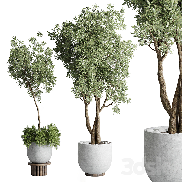 Collection Outdoor Indoor plant 52 concrete dirt vase pot tree 3DS Max Model - thumbnail 3