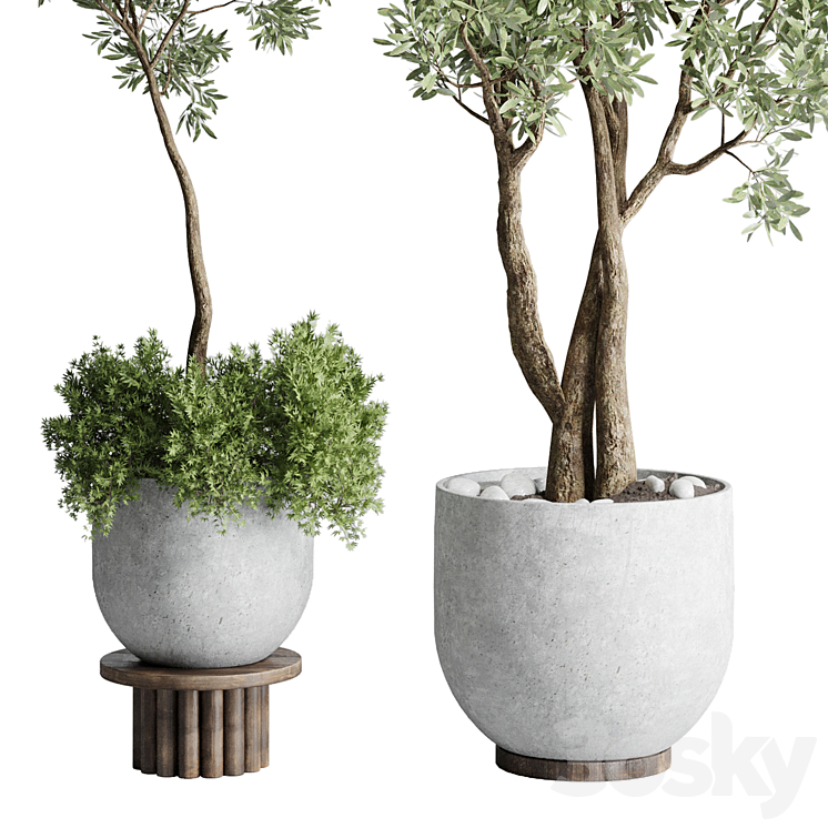 Collection Outdoor Indoor plant 52 concrete dirt vase pot tree 3DS Max - thumbnail 2