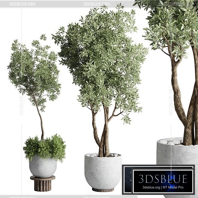 Collection Outdoor Indoor plant 52 concrete dirt vase pot tree 3DS Max - thumbnail 3