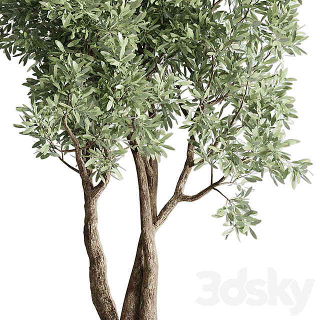 Collection Outdoor Indoor plant 52 concrete dirt vase pot tree 3DSMax File - thumbnail 4