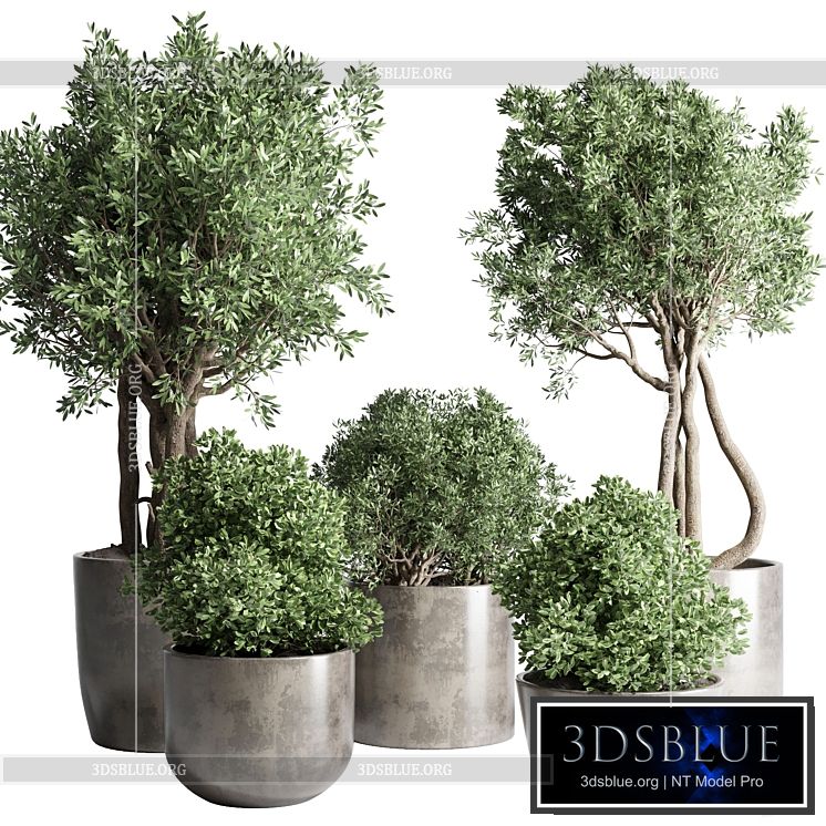 Collection Outdoor Indoor plant 53 concrete dirt vase pot tree bush 3DS Max - thumbnail 3