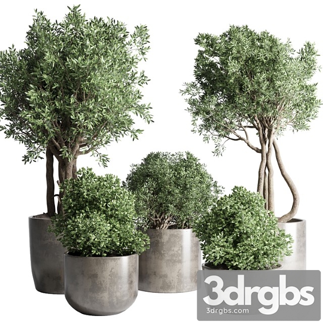 Collection outdoor indoor plant 53 concrete dirt vase pot tree bush - thumbnail 1