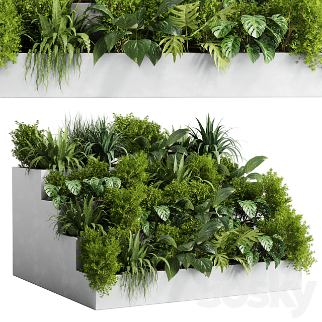 Collection outdoor indoor plant 54 stairs concrete vase pot fern bush grass ficus rubbery 3DSMax File - thumbnail 1