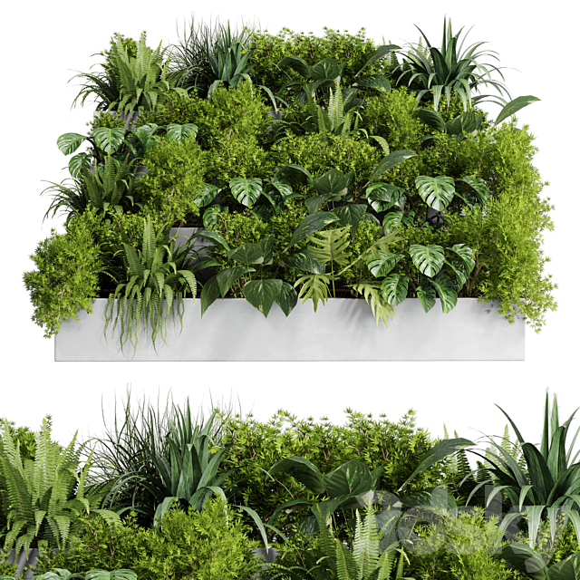 Collection outdoor indoor plant 54 stairs concrete vase pot fern bush grass ficus rubbery 3DSMax File - thumbnail 2